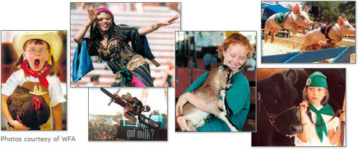 fair_collage