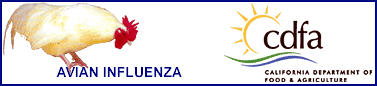 Avian Influenza Breaking News 