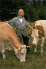 Livestock Owners