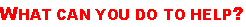 Text - What can you do?