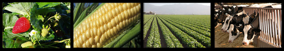 Feed, Fertilizer, Livestock Drugs and Egg Regulatory Services