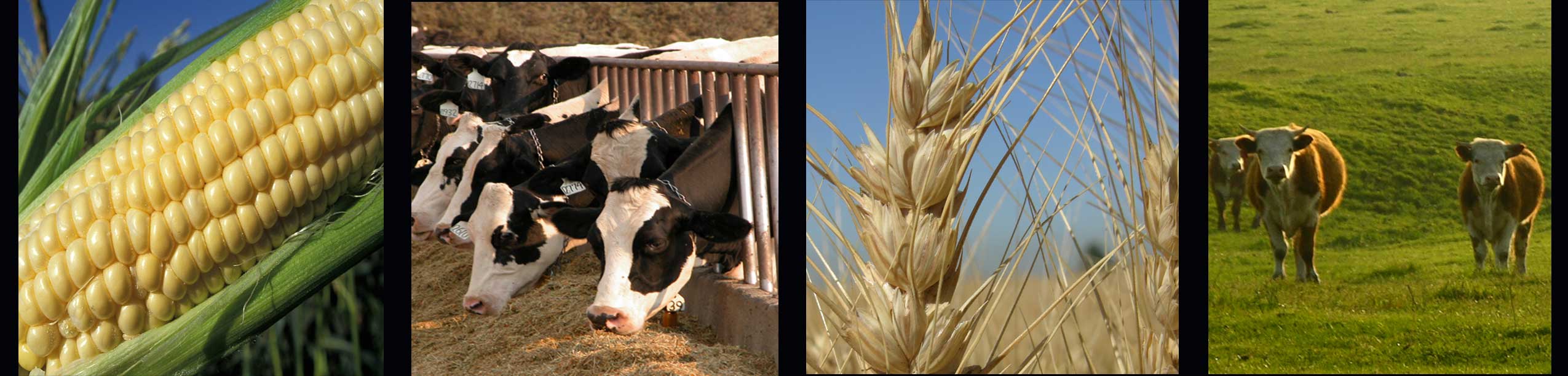 Feed and Livestock Drugs Inspection Program